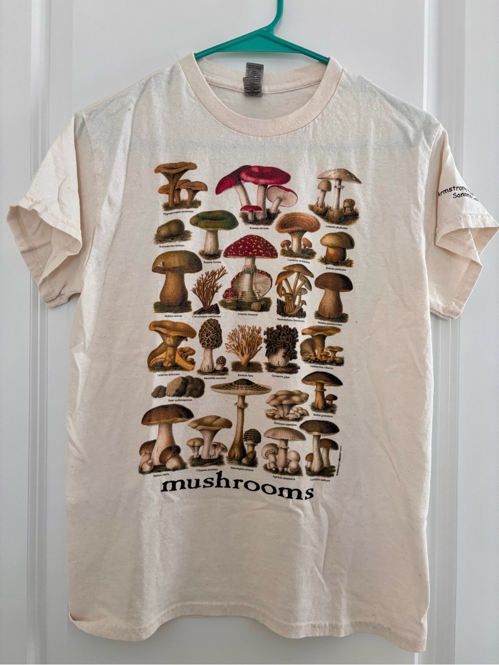 Mushrooms CA Nature Park Graphic Tee - Natural Cream, 💯 cotton